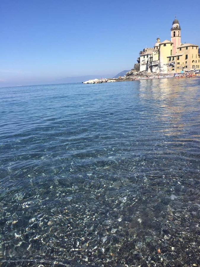 Lamarina * Camogli